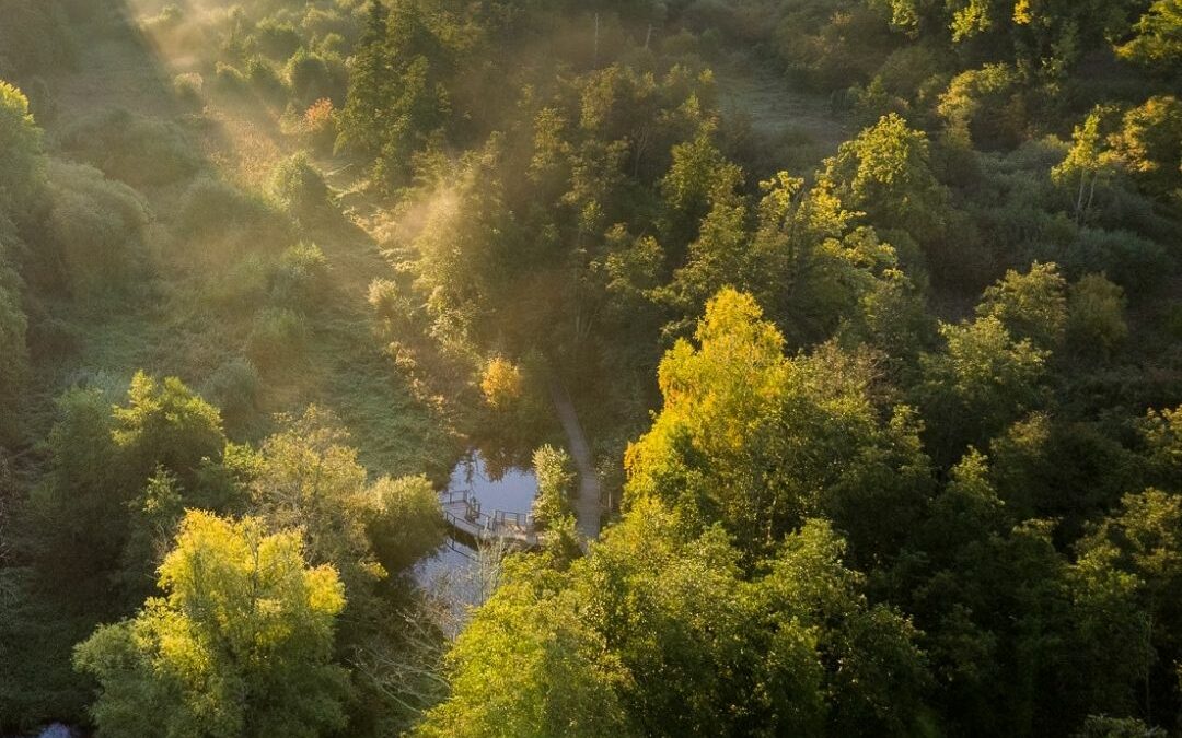 La Vallée de Chevreuse, le secret bien gardé du tourisme d’affaires francilien
