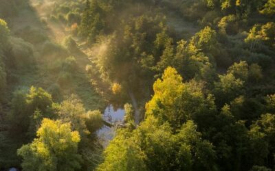 La Vallée de Chevreuse, le secret bien gardé du tourisme d’affaires francilien