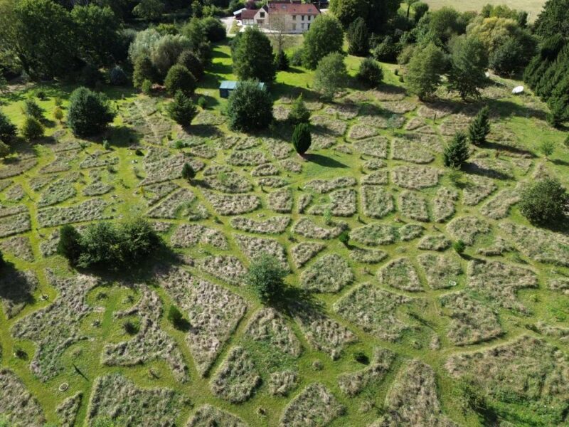 Parc arboré mandala du Centre H2E