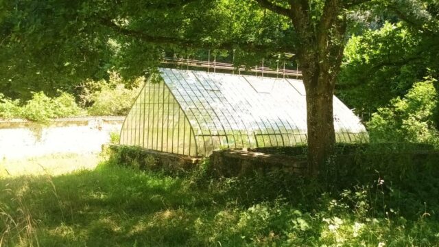 Serre, jardin d'hiver dépendances de Méridon