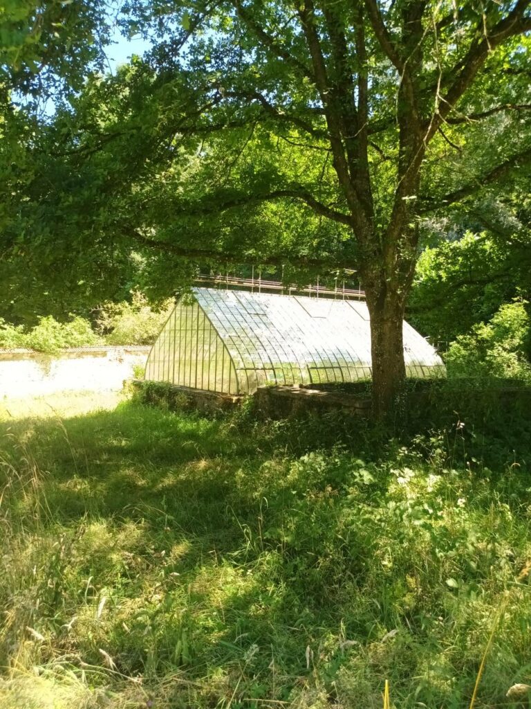 Serre, jardin d'hiver dépendances de Méridon