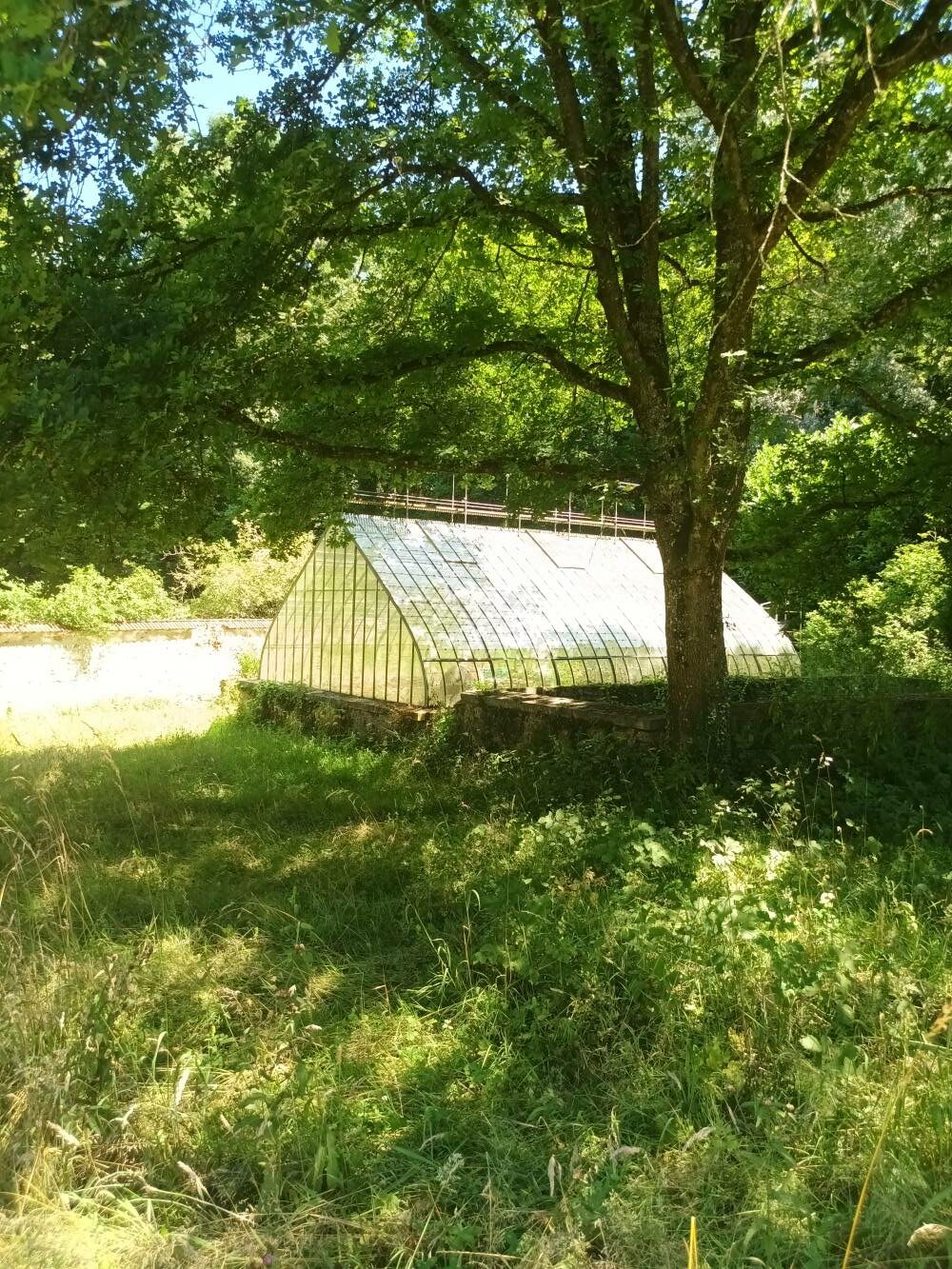 Serre, jardin d'hiver dépendances de Méridon