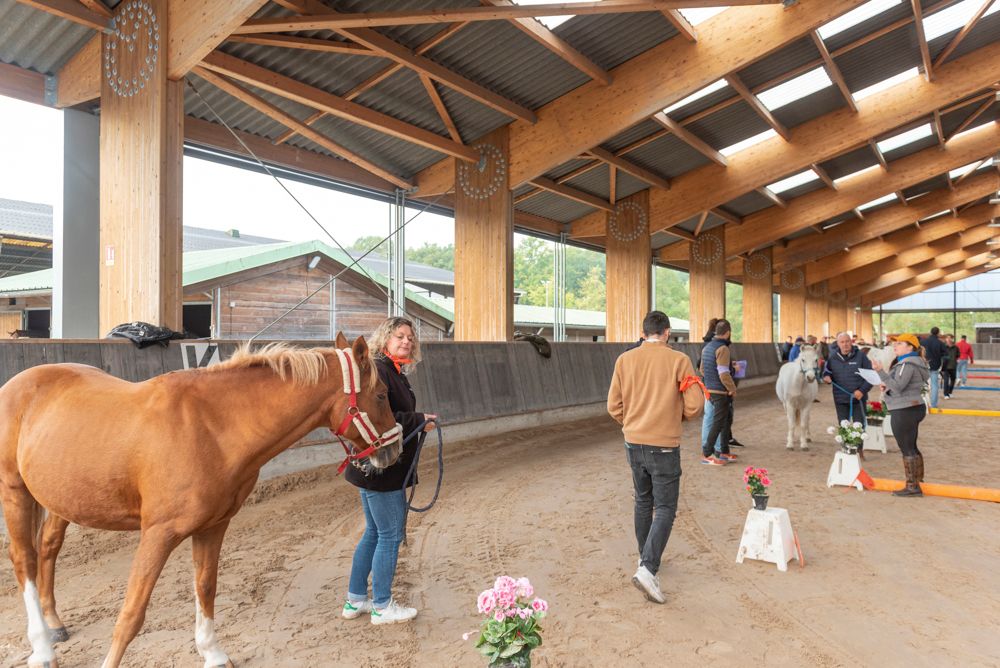5 expériences team building nature et artisanat en Vallée de Chevreuse