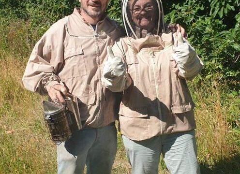 Activité vie d'un apiculteur en Vallée de Chevreuse (78/91) ruches, abeille, miel biologique