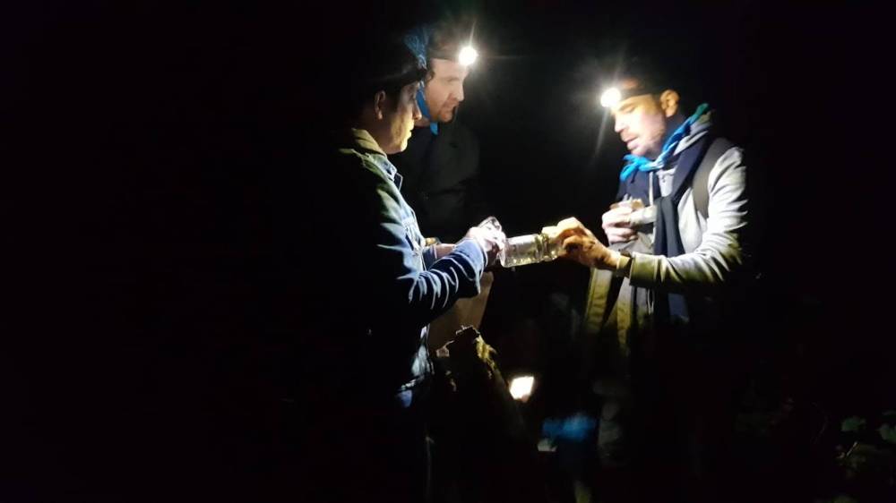 Man vs wild, survie en forêt Taos Event teambuilding