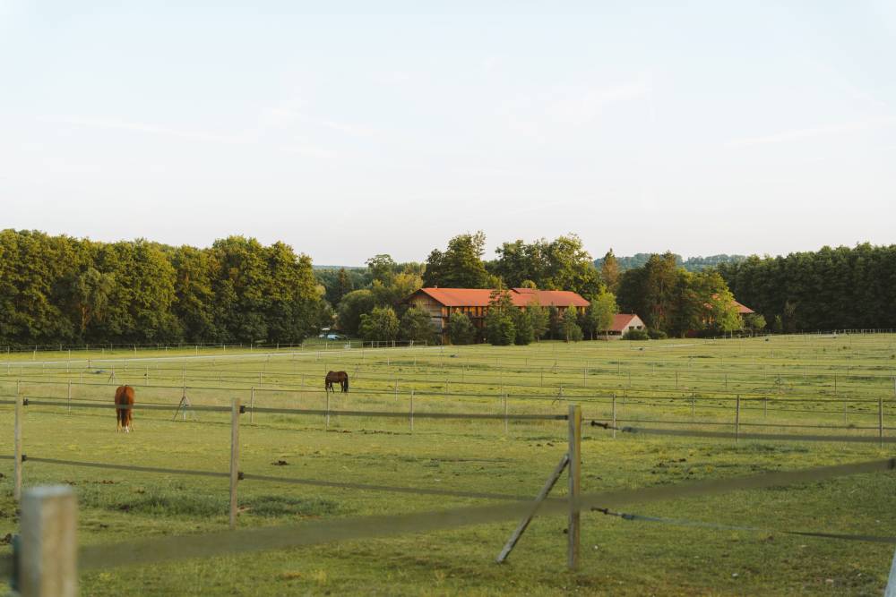 Chambre Le Barn, La Cense passion chevaux, Yvelines 78