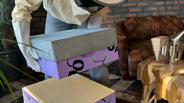 Teambuilding apiculture Taos Event, Vallée de Chevreuse, écoresponsable, rse