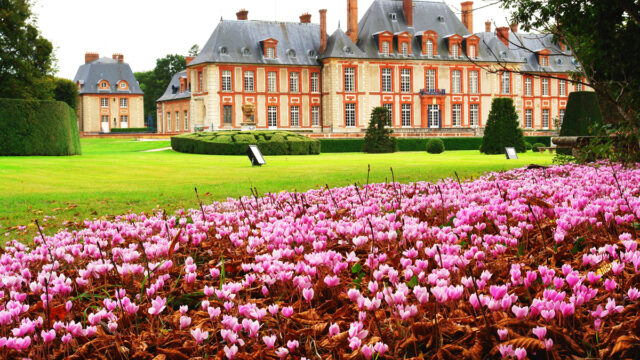 Château de Breteuil et cyclamens