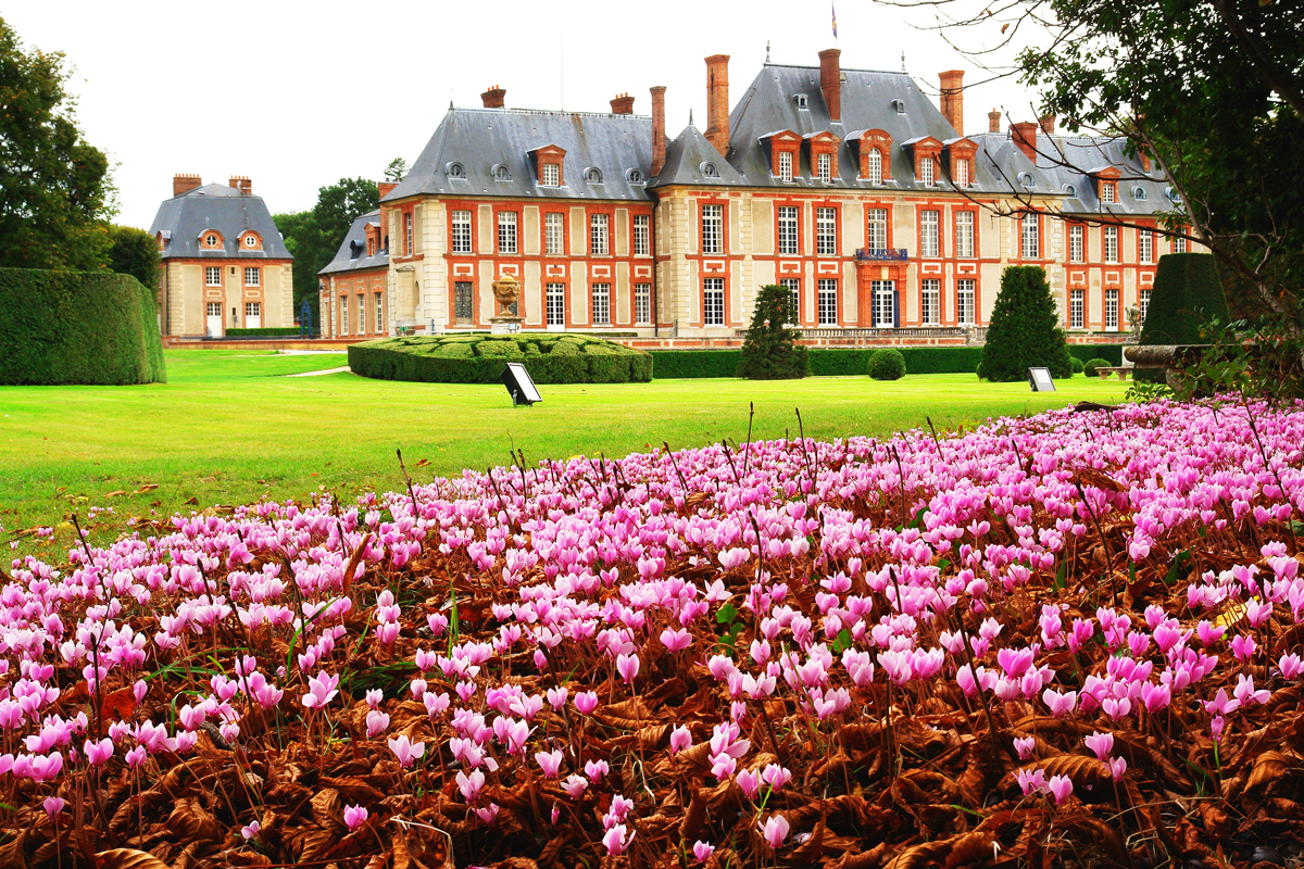 Château de Breteuil et cyclamens
