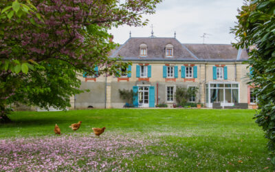 Bien préparer son séminaire de printemps : la saison idéale pour rassembler et se projeter