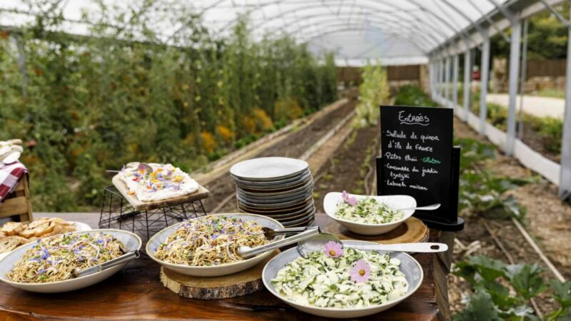 Cocktail fraicheur sous les serres Château Regen'Ronqueux