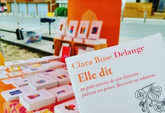 Livre édition Le Ver à Soie