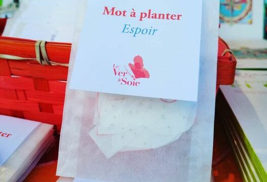 Livre édition Le Ver à Soie