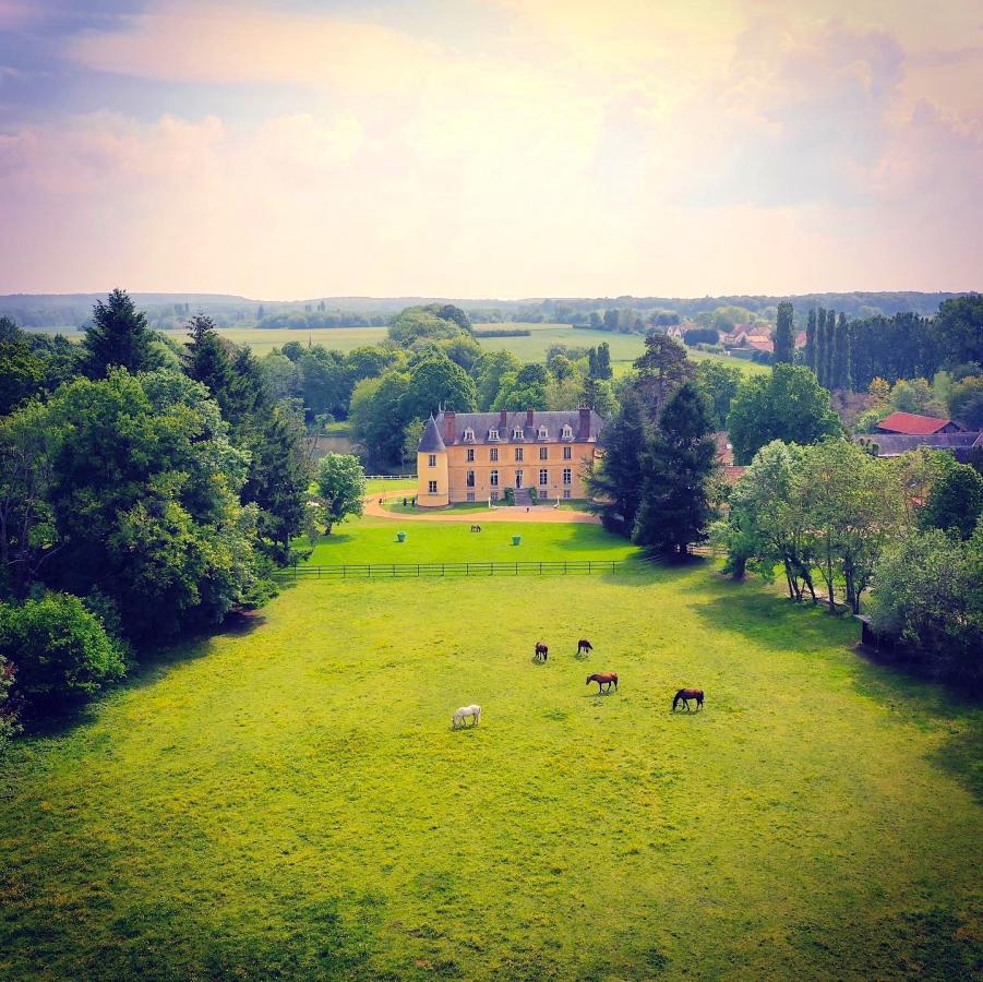 vue aérienne Château de Vaugrigneuse