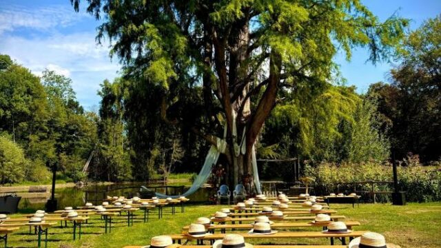 cérémonie champêtre Château de Vaugrigneuse
