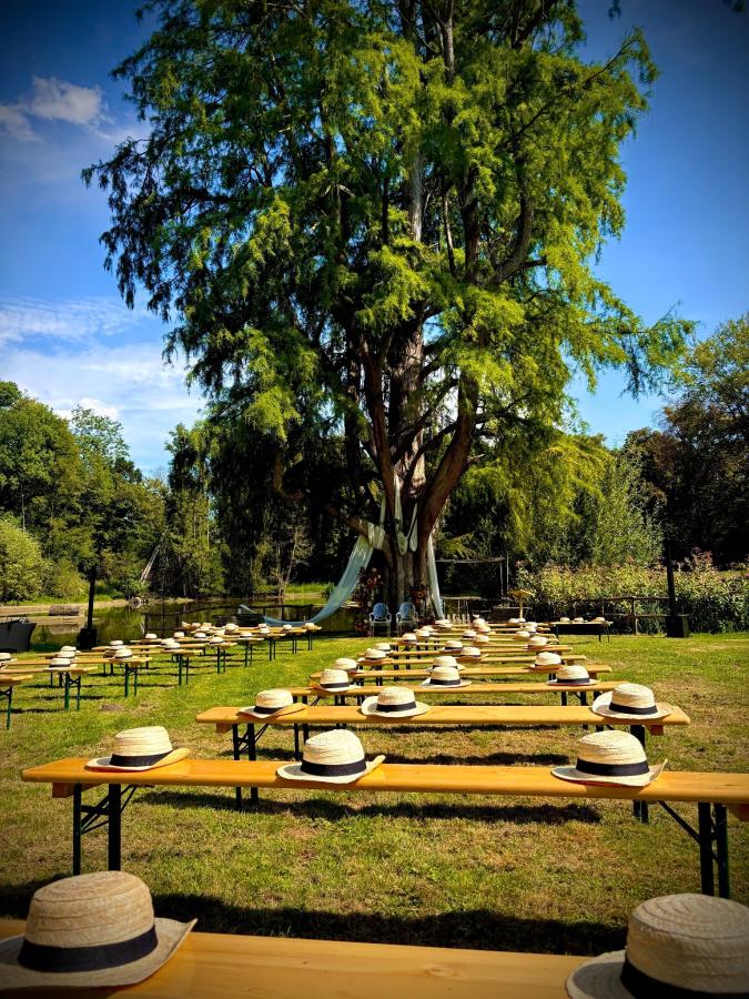 cérémonie champêtre Château de Vaugrigneuse