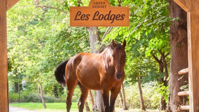 entrée des lodges Château de Vaugrigneuse