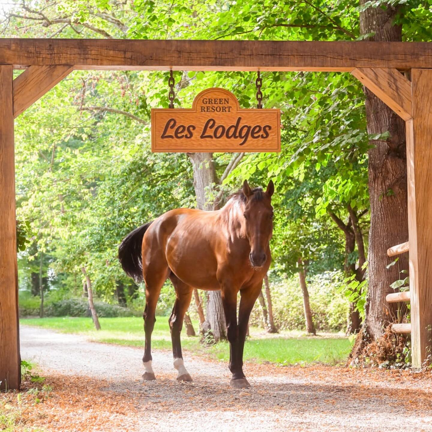 entrée des lodges Château de Vaugrigneuse