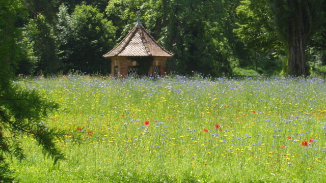 Parc Domaine Saint Paul Hôtel restaurant centre de séminaires