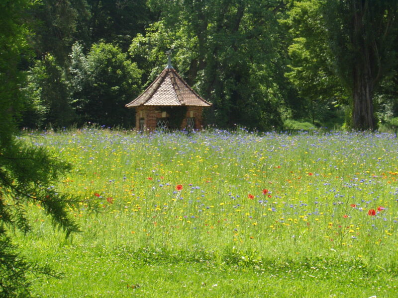 Parc Domaine Saint Paul Hôtel restaurant centre de séminaires