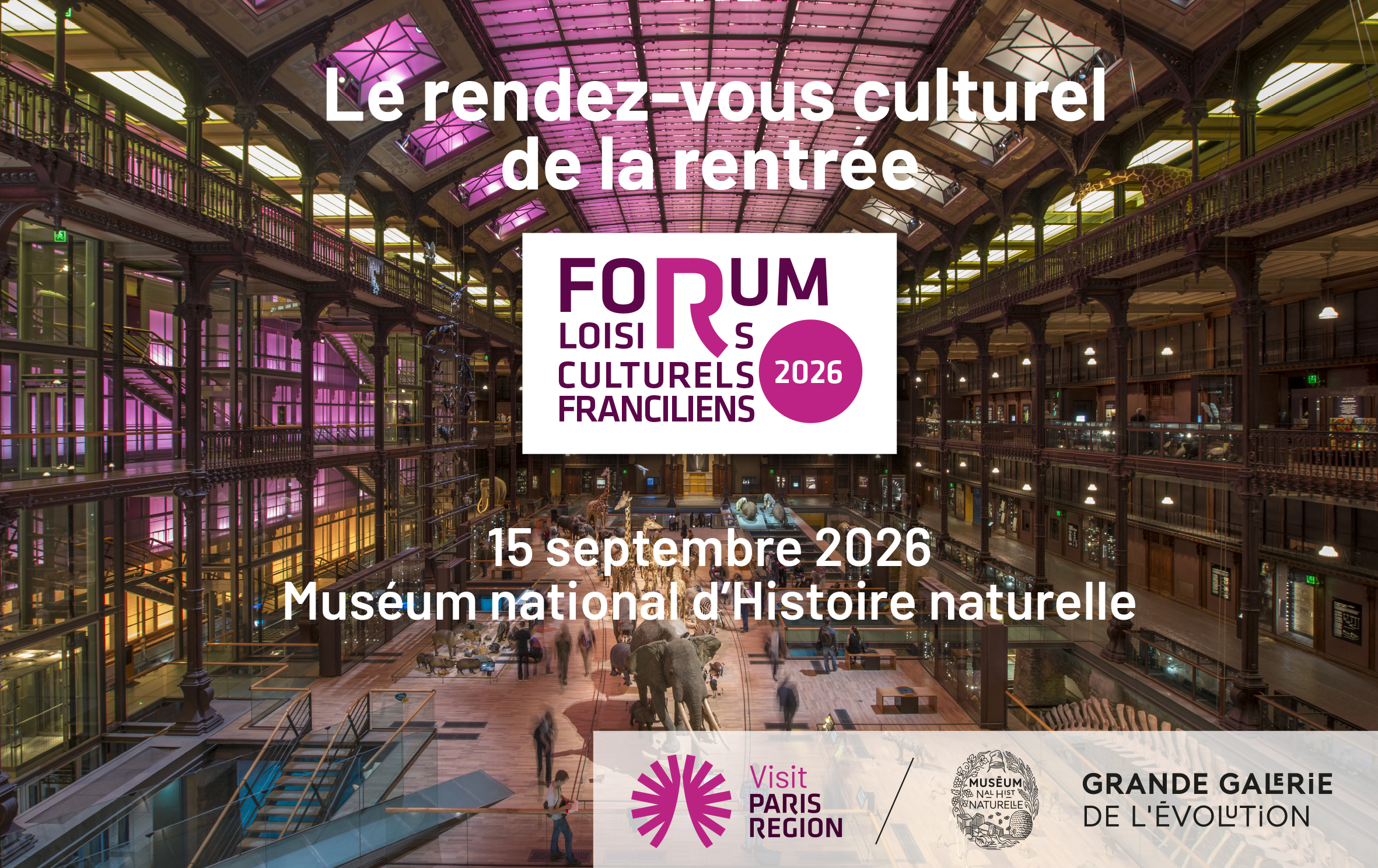 Grande Galerie de l'Evolution, éclairage rénové - © MNHN - Bruno Jay