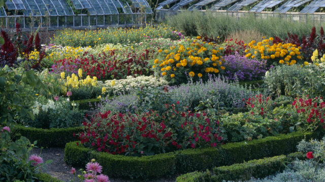 Potager fleurs Saint jean De Beauregard