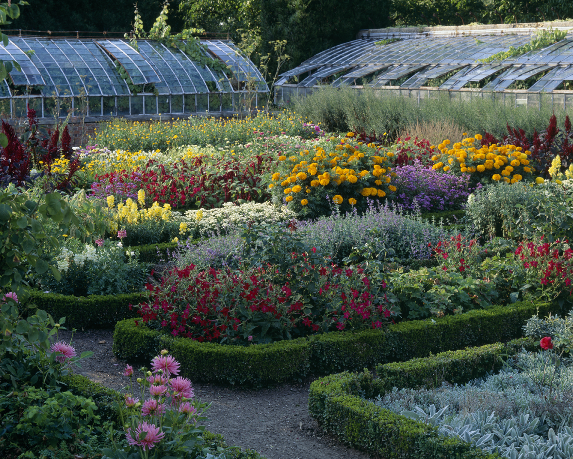 Potager fleurs Saint jean De Beauregard