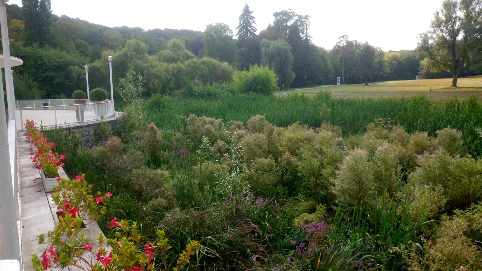 Parc Domaine Saint Paul Hôtel restaurant centre de séminaires